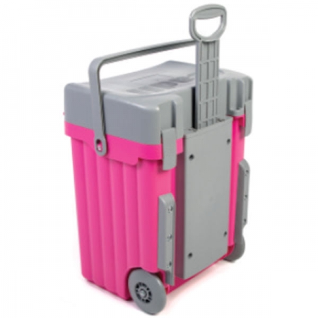 pink and grey suitcase