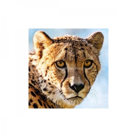 Diamond Dot Painting Cheetah Face 30x30