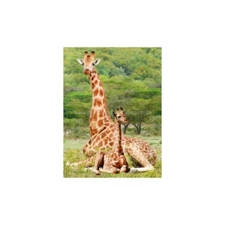 Diamond Dot Painting Mom and Baby Giraffe 30x40