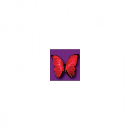 Wafer Paper Butterflies Vivid  15Pce Red