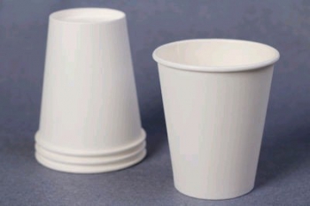 12 Oz Single Wall Hot Paper Cup (50)