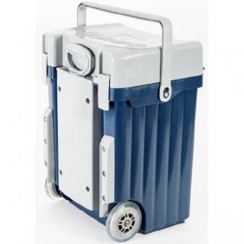 cadii school bag at game