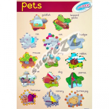 Suczezz Poster Pets