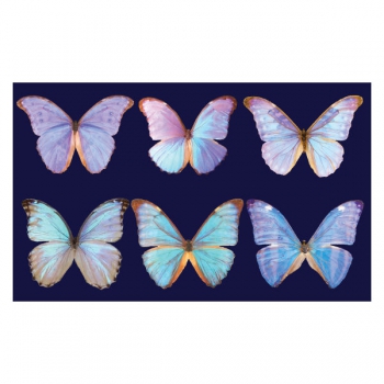 Wafer Paper Enchanted Butterflies 22Pce