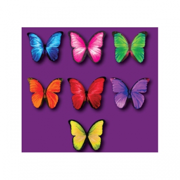 Wafer Paper Butterflies Vivid Pink 15Pce