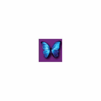 Wafer Paper Butterflies Vivid  15Pce Blue