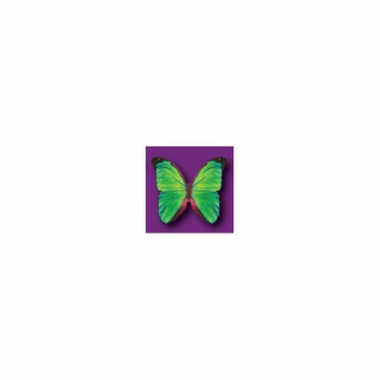 Wafer Paper Butterflies Vivid  15Pce Green