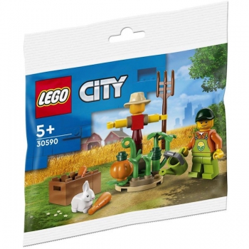 LEGO 30590 Farm Garden and Scarecrow