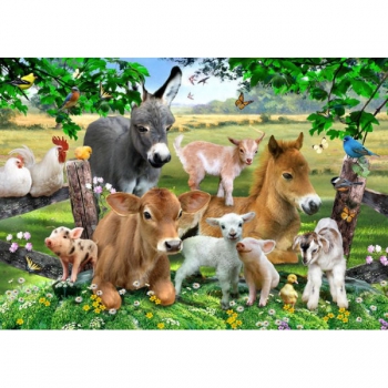 RGS Puzzle Farm Animals 36pcs